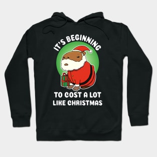 It's begining to cost a lot like Christmas Capybara Christmas Hoodie